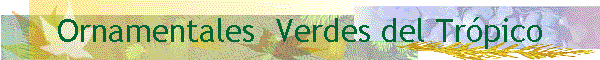 Ornamentales  Verdes del Trpico