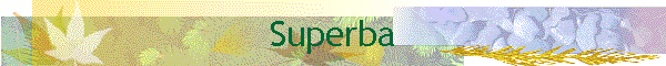 Superba