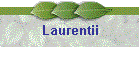Laurentii